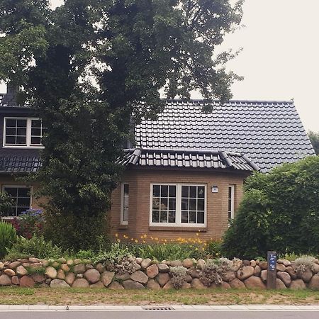Ferienwohnung Hinz - Gemuetliche Unterkunft Fuer 2 Personen Mit Modernem Bad Ellingstedt Экстерьер фото